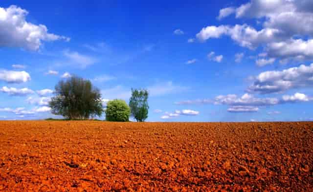 公积金能购买什么房子
