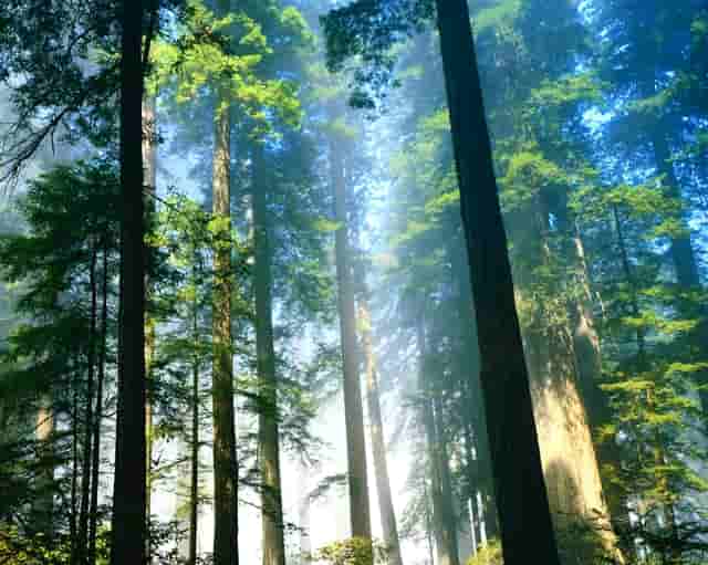 成绩最好的人是什么人