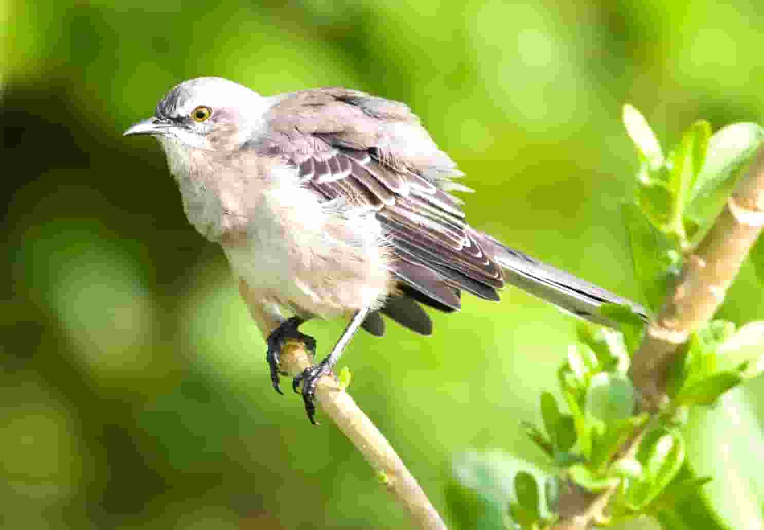 北京新闻市场监督管理局