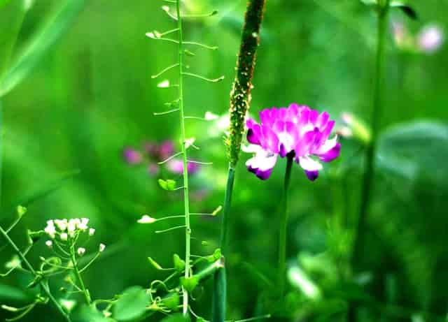 朴槿惠评价韩国