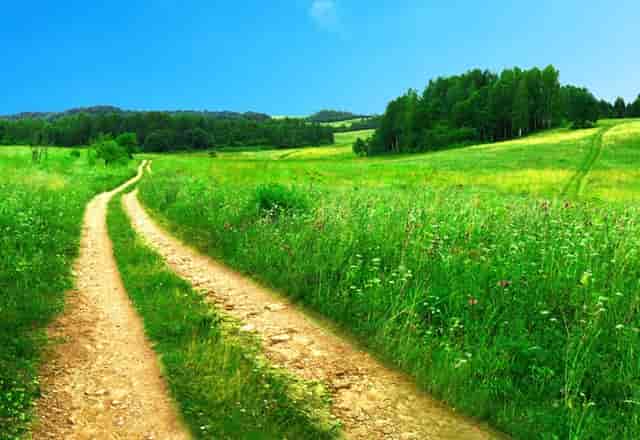 杨洋新剧怎么样